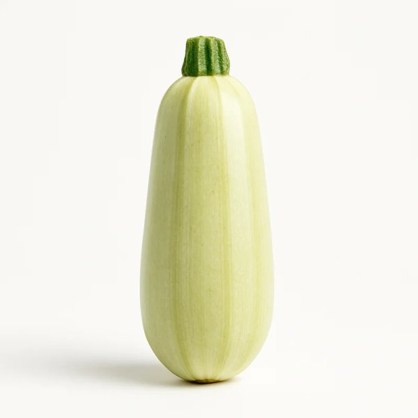 Calabacín Blanco