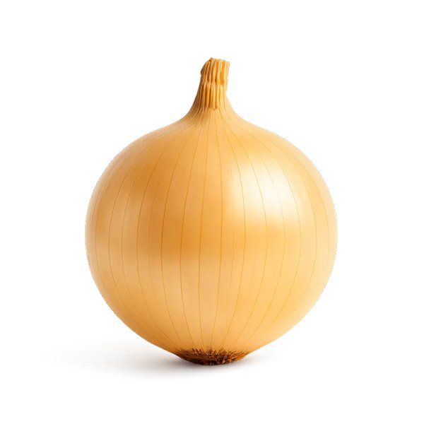Cebolla