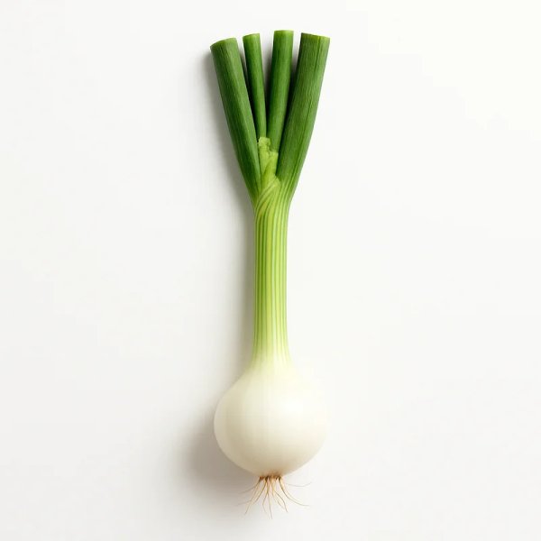 Cebolla tierna
