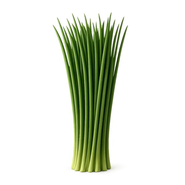 Cebollino