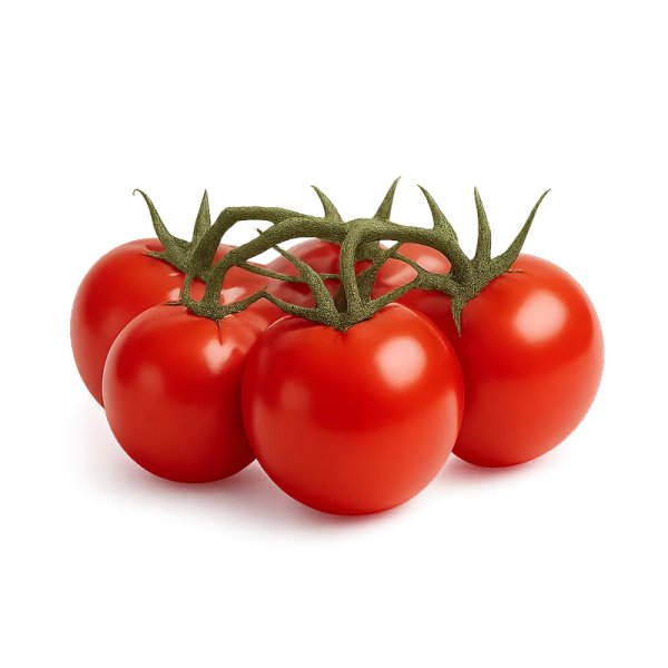 Tomate Rama